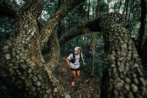 BIB: 
                            <button type="button" onclick="openModal(25392715)" class="btn btn-primary btn-sm float-right btn-popup" data-toggle="modal" data-target=".modal-high-quality">
                        <i class="fas fa-shopping-cart"></i> Add to Cart
                    </button>
                                            <button type="button" onclick="isThisMe(25392715, true)" class="btn btn-success btn-sm float-right btn-popup btn-isme hidden" data-toggle="tooltip" data-placement="bottom" title="นี่คือรูปของคุณใช่ไหม คลิกที่นี่เพื่อเอาเข้าอัลบั้ม">
                        <i class="fas fa-plus"></i> Add to album
                    </button>
                    <button type="button" onclick="isThisMe(25392715, false)" class="btn btn-warning btn-sm float-right btn-popup btn-isnotme hidden">
                        <i class="fas fa-ban"></i> Remove from album
                    </button>